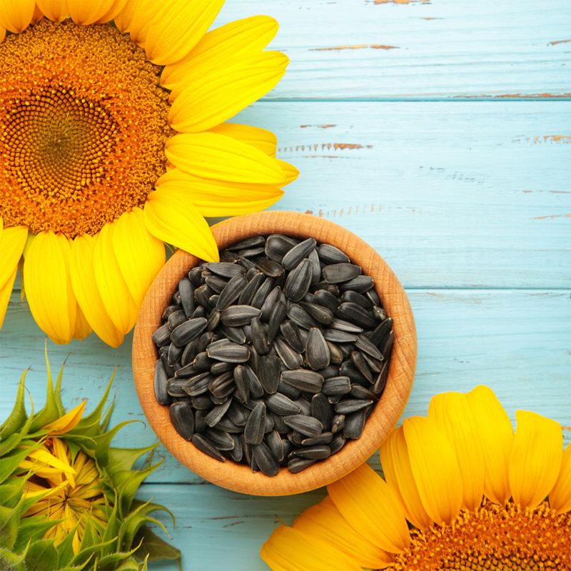 Sunflower & Pumpkin Seeds